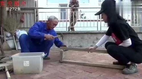 东北胖小视频在线观看,趣味横生的短视频盛宴，在线观看笑翻天